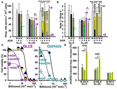 Aglycemic HepG2 Cells Switch From Aminotransferase Glutaminolytic Pathway of Pyruvate Utilization to Complete Krebs Cycle at Hypoxia